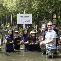 Re.Juve tanam 2.500 bibit mangrove bersama seasoldier.