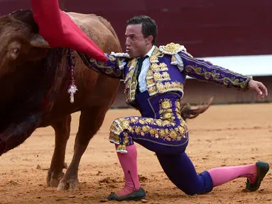 Matador Spanyol Rafaelillo berusaha menaklukan banteng Pedraza de Yeltes selama Festival Dax di Dax Arena, barat daya Prancis (14/8). (AFP Photo/Iroz Gaizka)