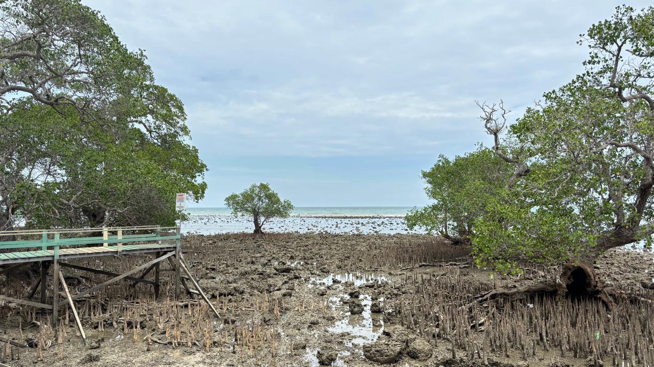 Menjaga Biru Madura PHE WMO Dorong Konservasi Laut dan Ekonomi Pesisir Lewat Taman Wisata Laut Labuhan