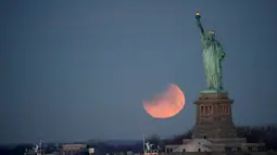 Pemandangan ketika Patung Liberty dihiasi oleh supermoon di Brooklyn, New York, Amerika Serikat, Rabu (31/1). Supermoon membuat purnama dan gerhana tampak lebih besar dari biasanya. (AP Photo/Julio Cortez)