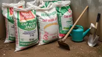 7 Desain Kebun Sayur Pakai Karung Beras Bekas, Solusi Kreatif Berkebun di Lahan Terbatas