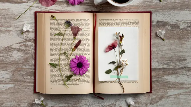 Pressed Flowers