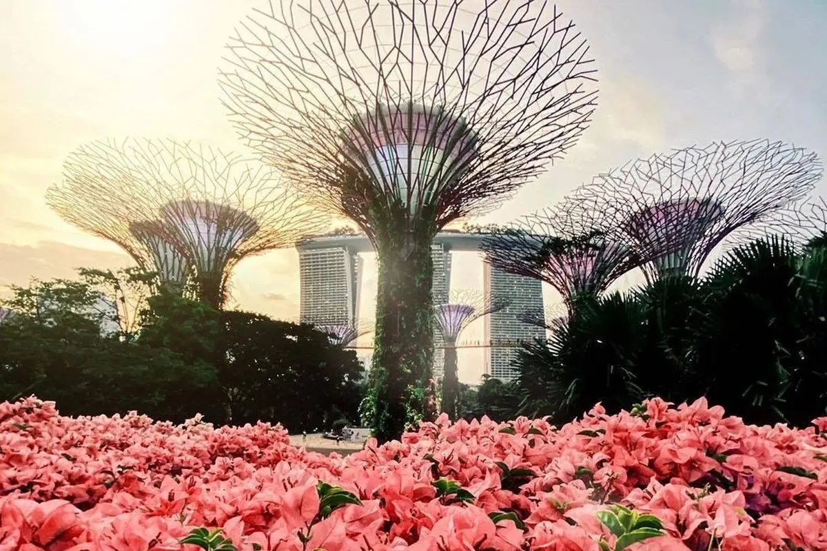 [Fimela] Gardens by the Bay