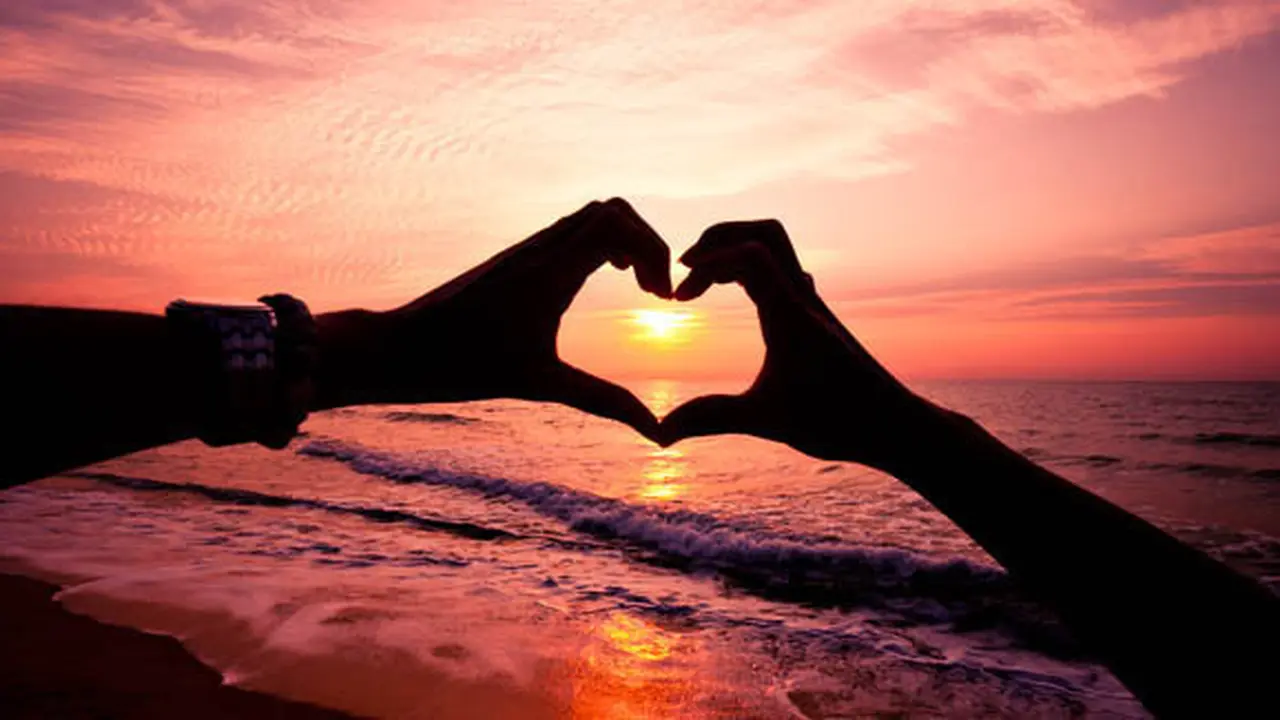 (c) shutterstock