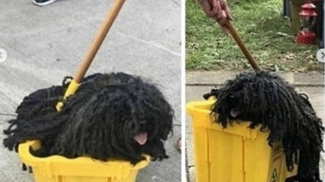 foto ini bisa menipu mata kita (foto: instagram/@ingin.tau_)