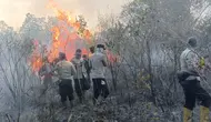 Modus Tersangka Karhutla, Disiapkan Jadi Kebun Sawit