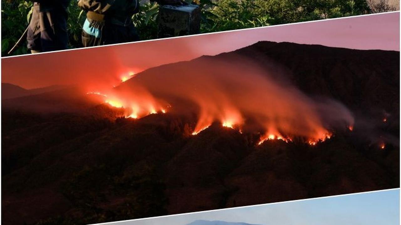 Gunung Bromo Ditutup Bagi Wisatawan Gara-gara Kebakaran, Hanya Dibuka untuk Warga Adat Ngadas & Ranupani