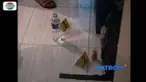 Seorang PNS meninggal usai makan kacang sambil berbincang dengan teman di dalam kamar penginapan.