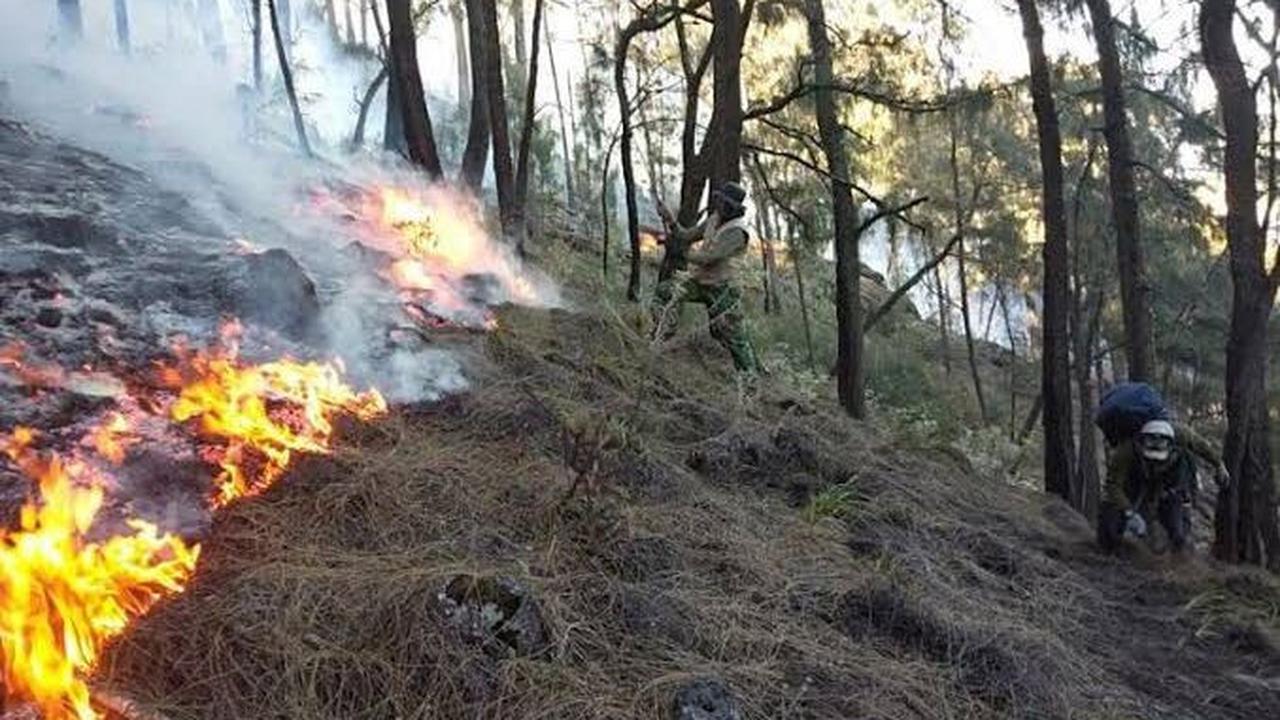 -Pemburu Liar Bakar Gunung Arjuno Welirang<br>