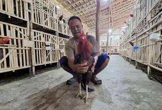 Kepala Desa Tanjung Rejo, Sanjaya (Ardi Munthe/Liputan6.com)