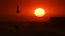 Sejumlah orang menyaksikan matahari terbenam di pantai El Tunco di La Libertad, 34 km sebelah selatan dari San Salvador, pada 5 Maret 2017.  (AFP Photo / Marvin Recinos)