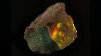 Museum Ini Pamerkan Opal Langka Rp 8,9 M untuk Pertama Kali