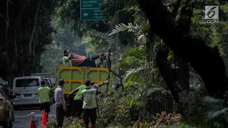 Memasuki Musim Penghujan, Pohon di Jakarta Dipangkas