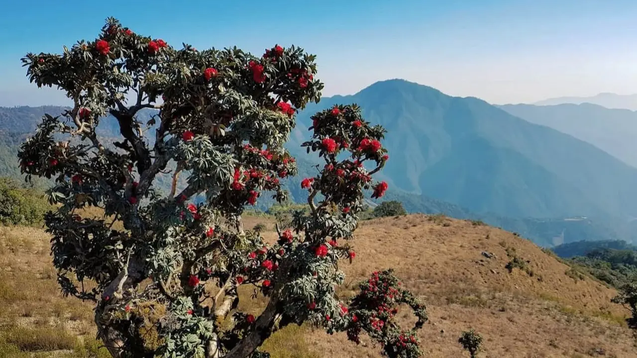 Gunung Kennedy di Myanmar