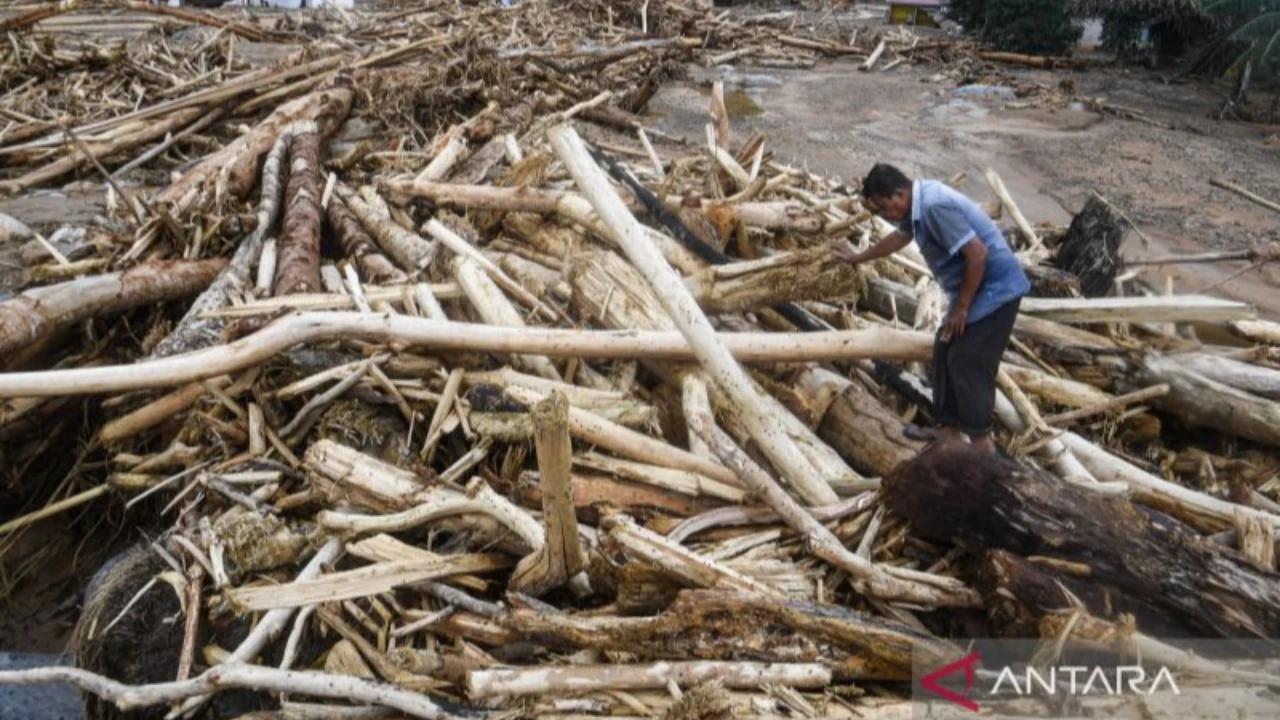 Jusuf Kalla Usul Kayu Gelondongan Dampak Banjir Bandang Sumatra Dibagikan ke Warga