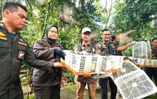 Pelepasliaran Burung NTB: Ribuan Satwa Liar Kembali ke Habitat Alami di TWA Suranadi