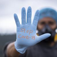 Ilustrasi coronavirus, virus corona, koronavirus, Covid-19. Kredit: Fernando Zhiminaicela via Pixabay