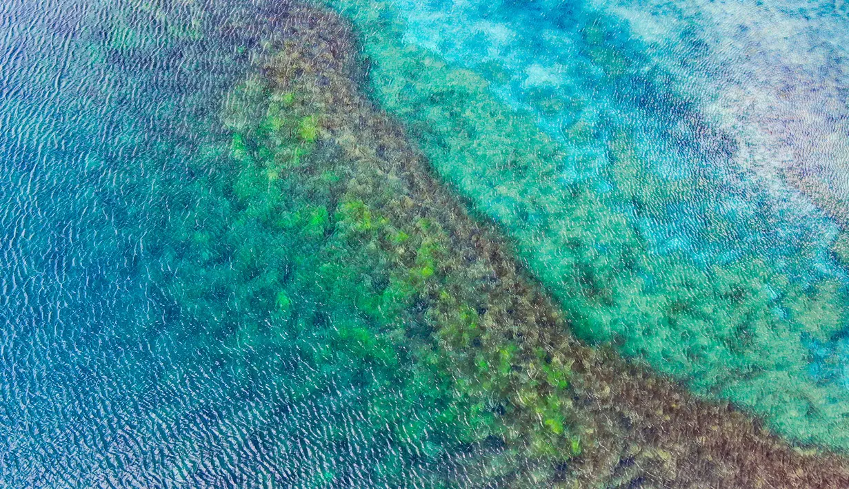 Foto drone ini menunjukkan "danau hitam" dari "danau tiga warna" di Desa Puyu di Wilayah Banbar, Qamdo, Daerah Otonom Tibet, China pada 26 September 2020. "Danau tiga warna" itu terdiri dari tiga telaga yang dipisahkan bukit dan menunjukkan warna hitam, putih, serta kuning. (Xinhua/Jigme Dorje)