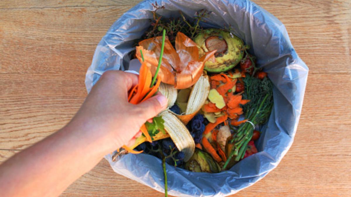 Hemat Ratusan Ribu Rupiah, Begini Cara Sustainable di Rumah yang Mudah Diterapkan