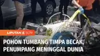 Sebuah pohon besar di Probolinggo tiba-tiba tumbang dan menimpa becak yang melintas. Pengayuh becak terluka, sedangkan penumpangnya meninggal dunia setelah mendapat perawatan di rumah sakit.