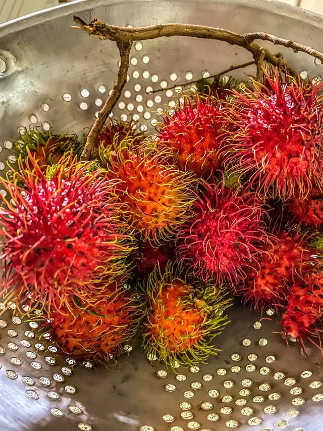 6 Fakta Menarik tentang Binjai, Kota Rambutan yang Berada di Persimpangan 2 Kerajaan Melayu