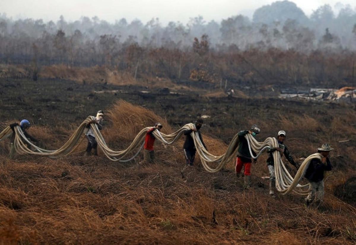 Kisah heroik warga Sumsel bantu padamkan kebakaran hutan