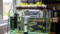 7 Jenis Ikan yang Bisa Dibudidaya Modal Akuarium Kecil, Mudah Dirawat Untung Cepat