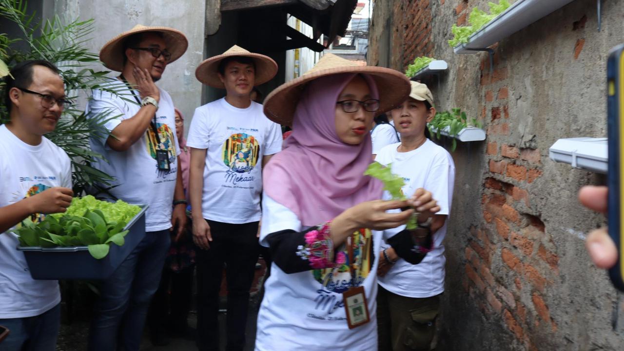 Urban Farming Lorong Mekaar, Langkah PNM Wujudkan Asta Cita Ketahanan Pangan
