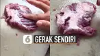 Beredar video daging kurban yang akan dimasak bergerak-gerak sendiri. Kejadian ini terjadi di Malaysia.