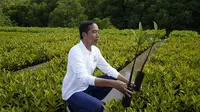 Presiden Indonesia Joko Widodo bersiap menanam pohon mangrove dalam rangkaian agenda pertemuan KTT G20 di Hutan Mangrove Taman Hutan Raya Ngurah Rai, Denpasar, Bali, Indonesia, Rabu (16/11/2022). Agenda ini merupakan salah satu agenda resmi dari para delegasi G20 yang hadir di Bali, sebelum nanti melanjutkan kembali working group. (AP Photo/Alex Brandon via Pool)