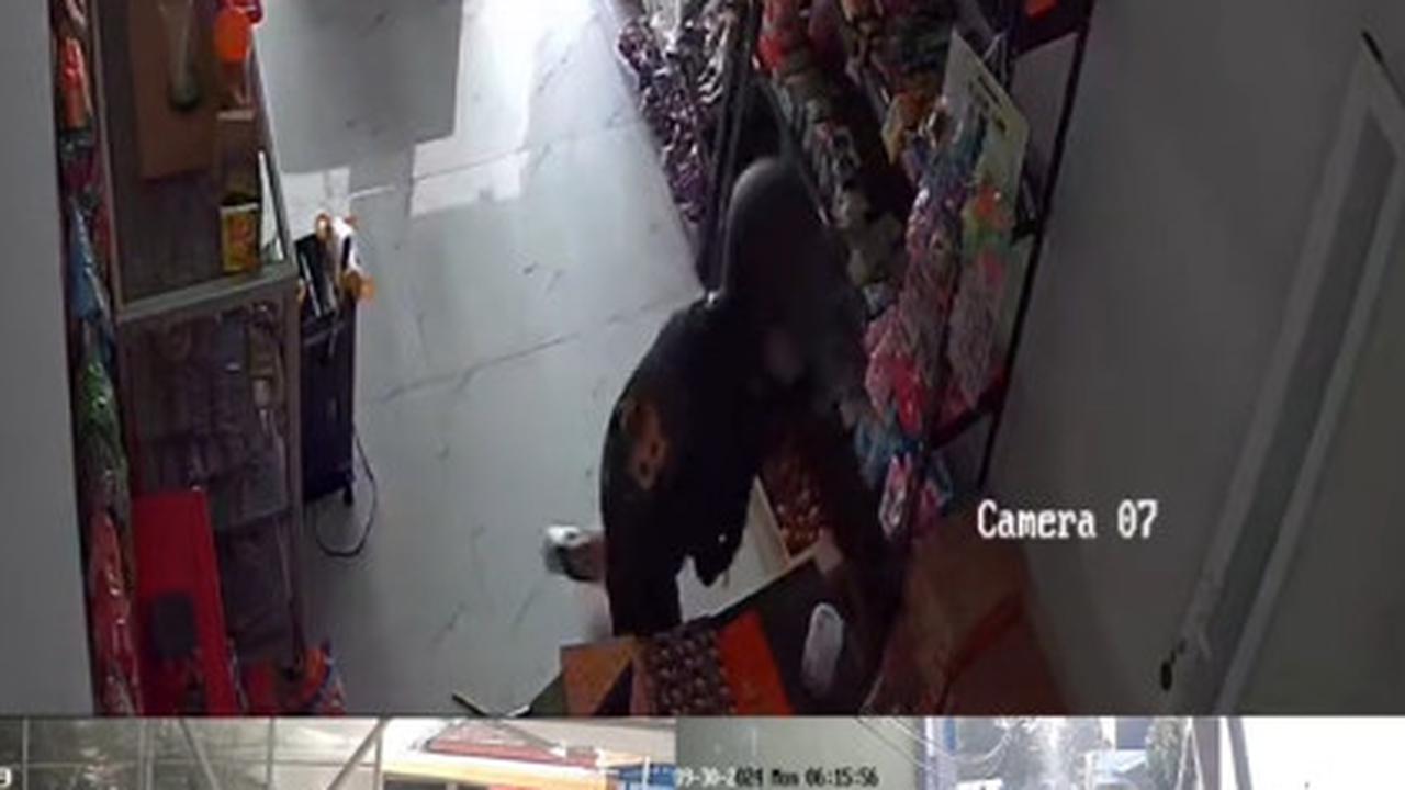 Viral Aksi Maling Berhasil Curi Dompet di Toko Makanan, Aksinya Terekam CCTV