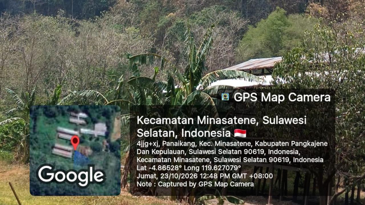 Lukisan Cadas Tertua Dunia di Maros Terancam Akibat Kebakaran Hutan
