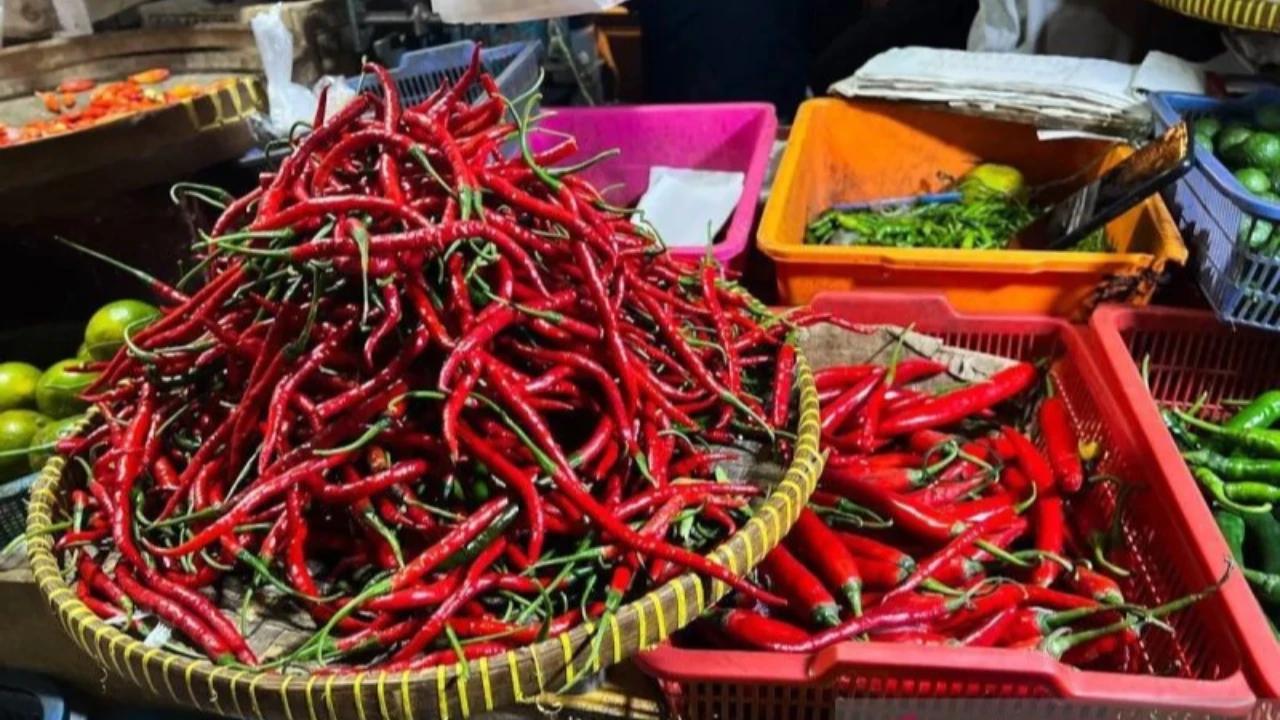 Cabai Rawit dan Daging Ayam Tahan Laju Inflasi April 2026 di Angka 0,13 Persen