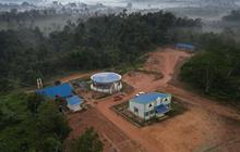 Habitat Satwa Kunci di Bukit Tigapuluh Menyusut, BKSDA Jambi Ungkap Ancaman Serius