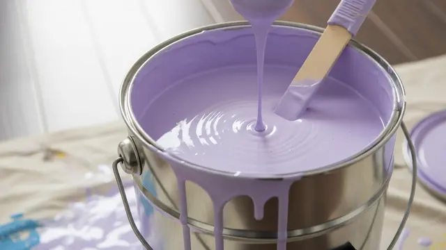 Cat Lavender
