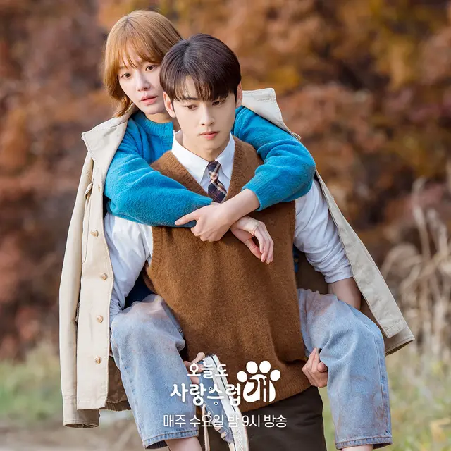 Park Gyu Young dan Cha Eun Woo dalam drakor A Good Day to be A Dog. (MBC via Soompi)