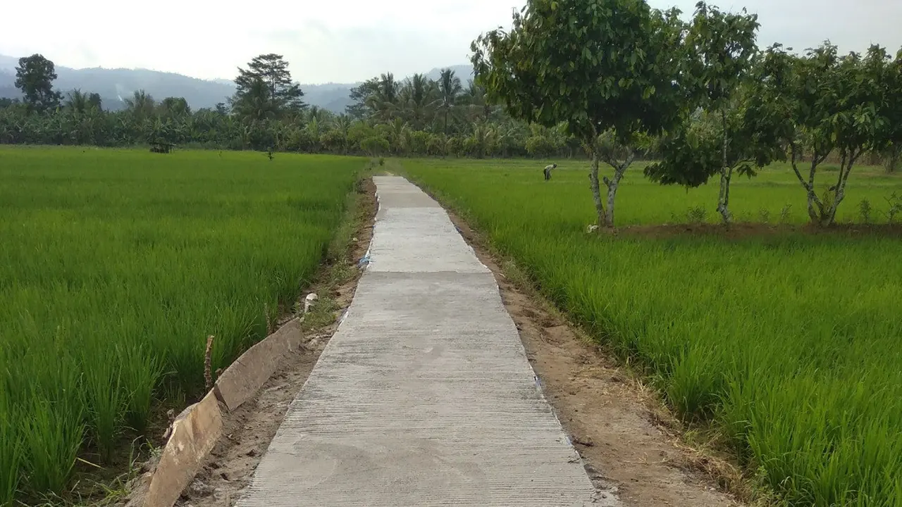 Jalan Usaha Tani Ikut Meningkatkan Pendapatan Petani Lampung Barat