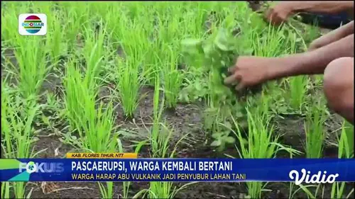 Fokus Pagi : Banjir Rob Terjang Permukiman Warga di Penjaringan Jakarta Utara