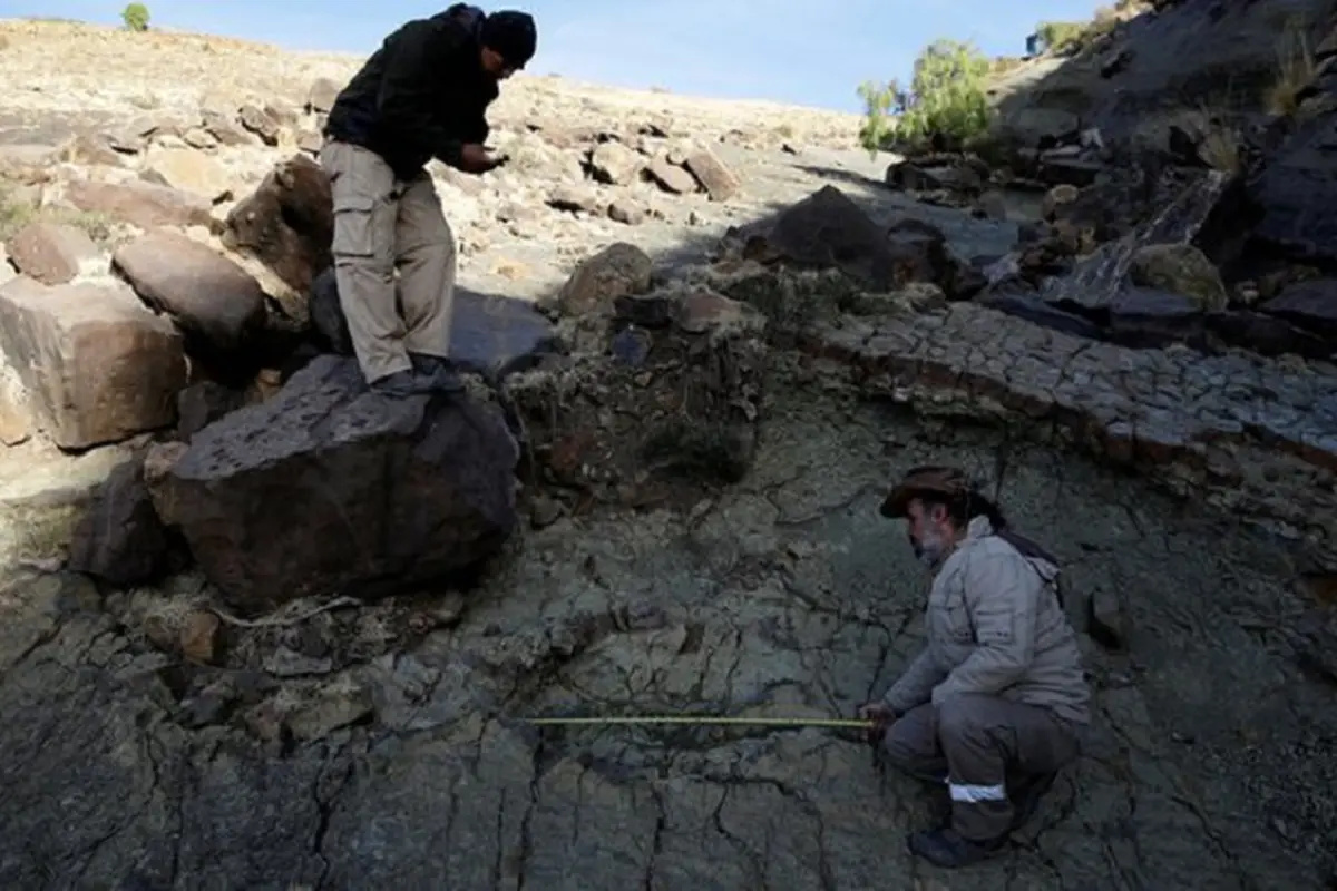 Ahli Paleontologi Argentina, Sebastian Apesteguia mengukur kembali temuan jejak kaki abelisaurus