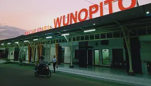 Bandara Wunopito Tutup Sampai Besok Akibat Erupsi