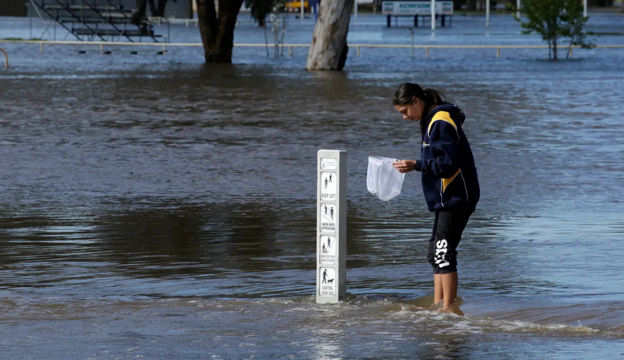 Seorang remaja mencari ikan saat banjir melanda Kota Forbes, kawasan pedalaman di New South Wales, Australia, Selasa (27/9). Sungai Lachlan meluap karena tak sanggup menampung air yang berlimpah akibat hujan deras. (REUTERS / Jason Reed)