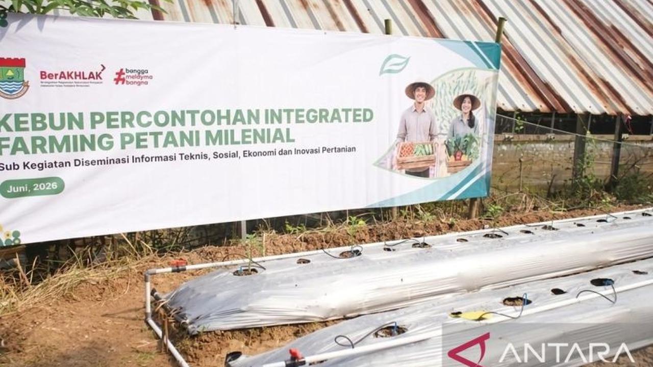 Pemkab Tangerang Gencarkan Pertanian Terpadu, Perkuat Ketahanan Pangan Daerah