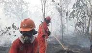 Atasi Kebakaran Hutan Kalimantan, Modifikasi Cuaca Dioptimalkan