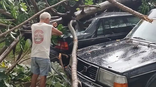 Hujan Campur Angin di Depok, Picu Genangan hingga Pohon Tumbang Timpa Mobil