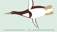 Ilustrasi penguin purba (Gerald Mayr/Senckenberg Research Institute via AP)