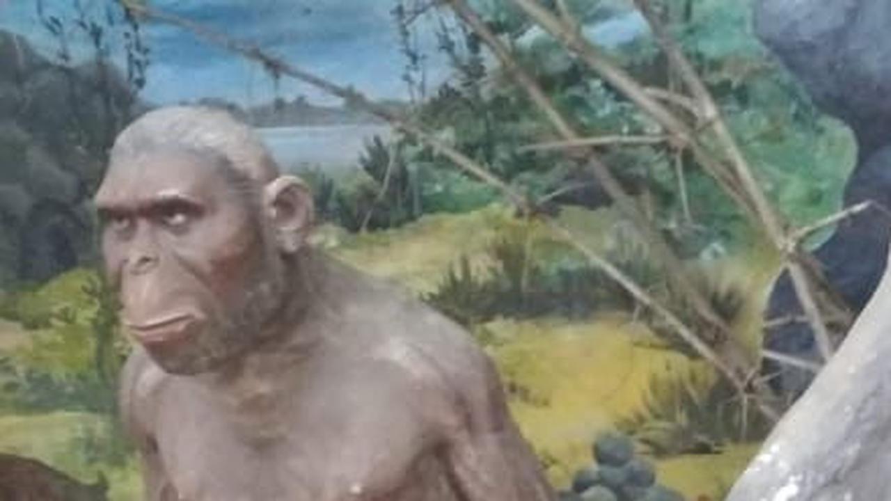 Homo Sapiens Adalah Spesies Manusia Purba, Simak Ciri-cirinya