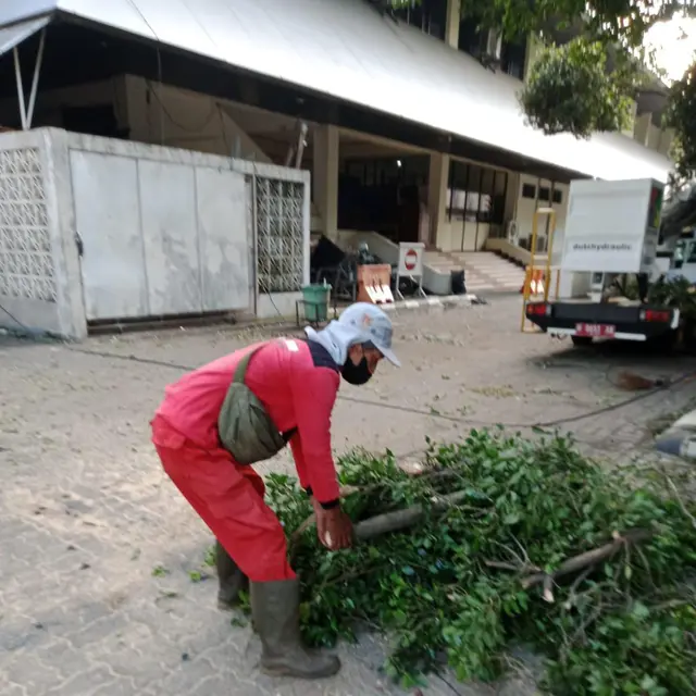 Pemkot Semarang Tanggap Tangani Dampak Hujan Angin, 86 Pohon Tumbang Berhasil Dievakuasi dalam Semalam