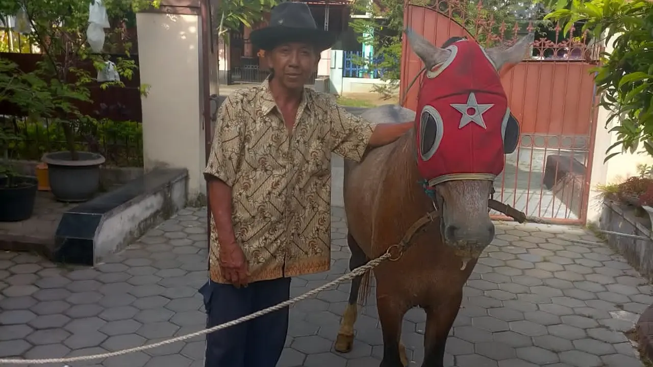 Atim warga Kelurahan Boyolangu, Banyuwangi, menunjukan kuda barunya. (Istimewa).