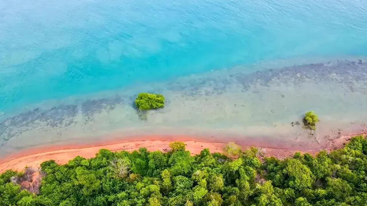10 Potret Penampakan Viral Pulau Dijual Rp 12 Miliar, Ini Lokasinya