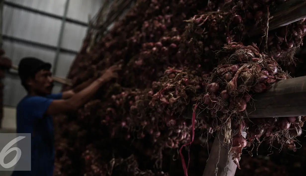Bawang merah saat dikeringkan di Gudang Bulog, Jakarta, Senin (16/5). Sebanyak 23.000 ton bawang merah disiapkan Kementerian Pertanian menjelang bulan puasa dan lebaran. (Liputan6.com/Faizal Fanani)